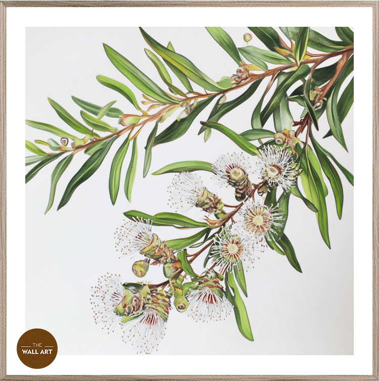 images/products/australian_melaleu_flowers/Australian_Melaleu Flowers_OAK_PWB.jpg